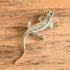 Vintage lizard brooch on a wooden surface