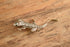 Silver Lizard Brooch