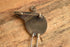 Sterling Bird Brooch - Gabrielle Gould