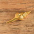 Spindle Shell Brooch