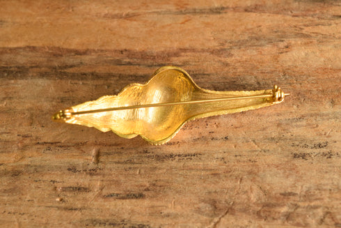 Spindle Shell Brooch