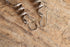 Snake Dangle Earrings
