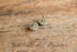 Turquoise Stone Studs