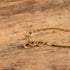 14k Yellow Gold Cobra Chain Bracelet