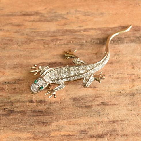 Green Eyed Lizard Brooch on wooden background