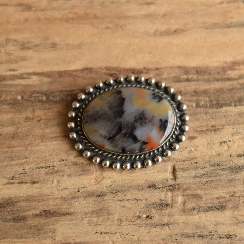 Petrified Wood Brooch