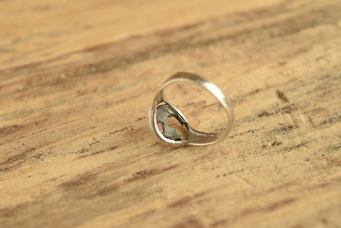 Moon and Star Ring - Size 8