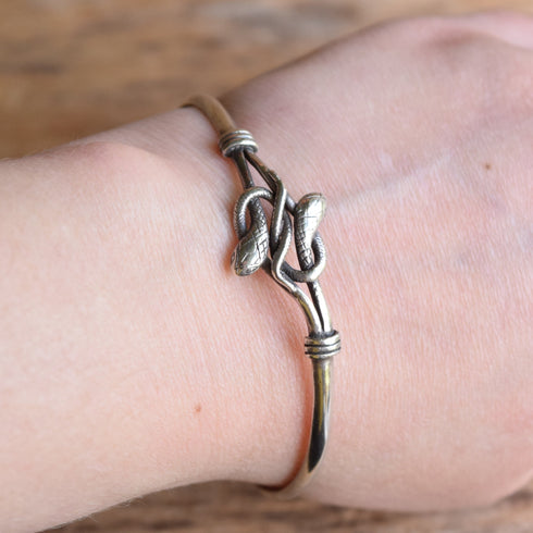 Twin Snake Sterling Silver Bangle