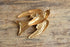 Yellow & Brown Swallow Brooch - Coro