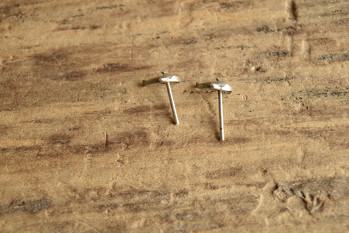 Dolphin Stud Earrings