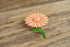 Peach Flower Brooch