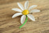 Daisy Flower Brooch