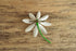 Daisy Flower Brooch