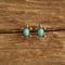 Turquoise Turtle Earrings