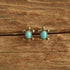 Turquoise Turtle Earrings