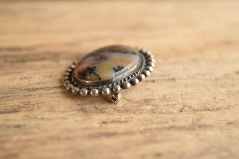 Petrified Wood Brooch