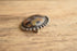 Petrified Wood Brooch