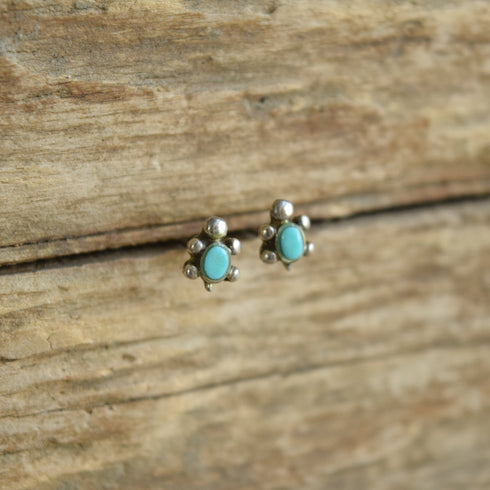 Signed STER turtle earrings on wood