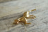 Horse Shaped Brooch - Napier