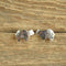 Spirit Bear Southwestern Stud Earrings
