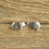 Spirit Bear Southwestern Stud Earrings