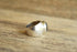 Onyx Wide Band Ring - Size 6