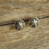 Sand Dollar Studs