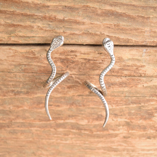 Sterling Silver twisty snake earrings by carlisle jewelry on wood