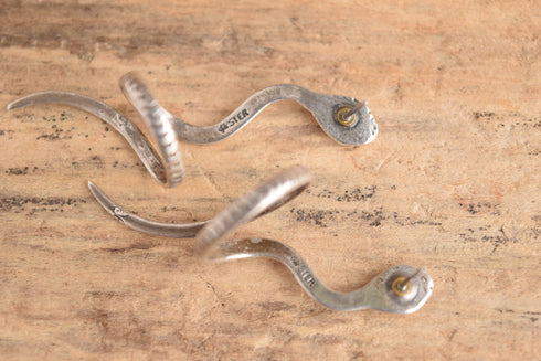 Sterling Silver Snake Earrings