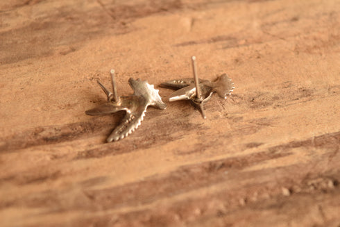 Hummingbird Earrings