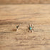 Zuni Turquoise Flower Studs