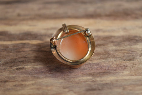 Cameo Brooch and Pendant - 14 kt Gold Filled