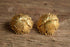 Golden Burst Stud Earrings