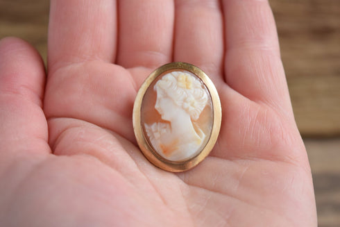 Cameo Brooch and Pendant - 14 kt Gold Filled