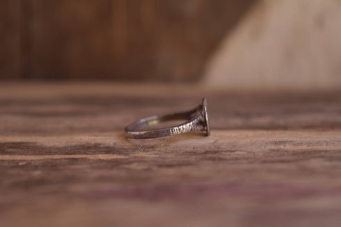Sand Dollar Ring - Sterling Silver Size 7