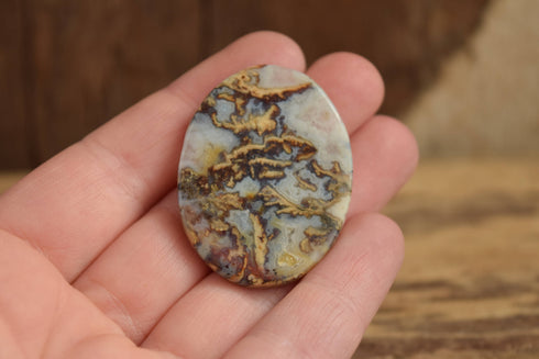 Brown and White Agate Oval for jewelry making, wire wrapping