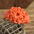 Coral Celluloid Chrysanthemum Bangle Bracelet