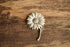 White & Gold Flower Brooch