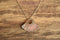 Pink Mother of Pearl Pendant Necklace