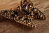 Black Rhinestone Butterfly Brooch