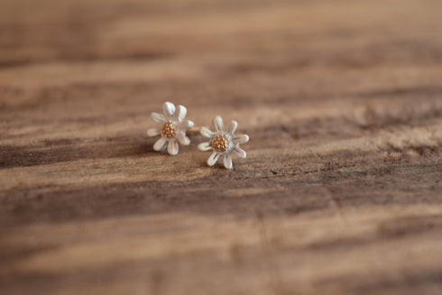Small White Daisy Earrings Gold Toned