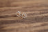 Small White Daisy Earrings Gold Toned