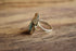 Size 8 Turquoise Ring