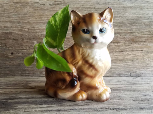 Small Cat Planter - Vintage Kitten