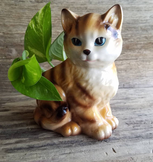 Small Cat Planter - Vintage Kitten