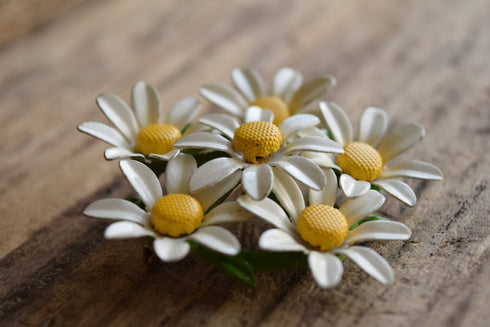 Daisy Brooch