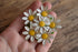 Daisy Brooch