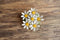 Daisy Brooch