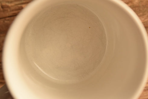 Classic Rainbow Mug